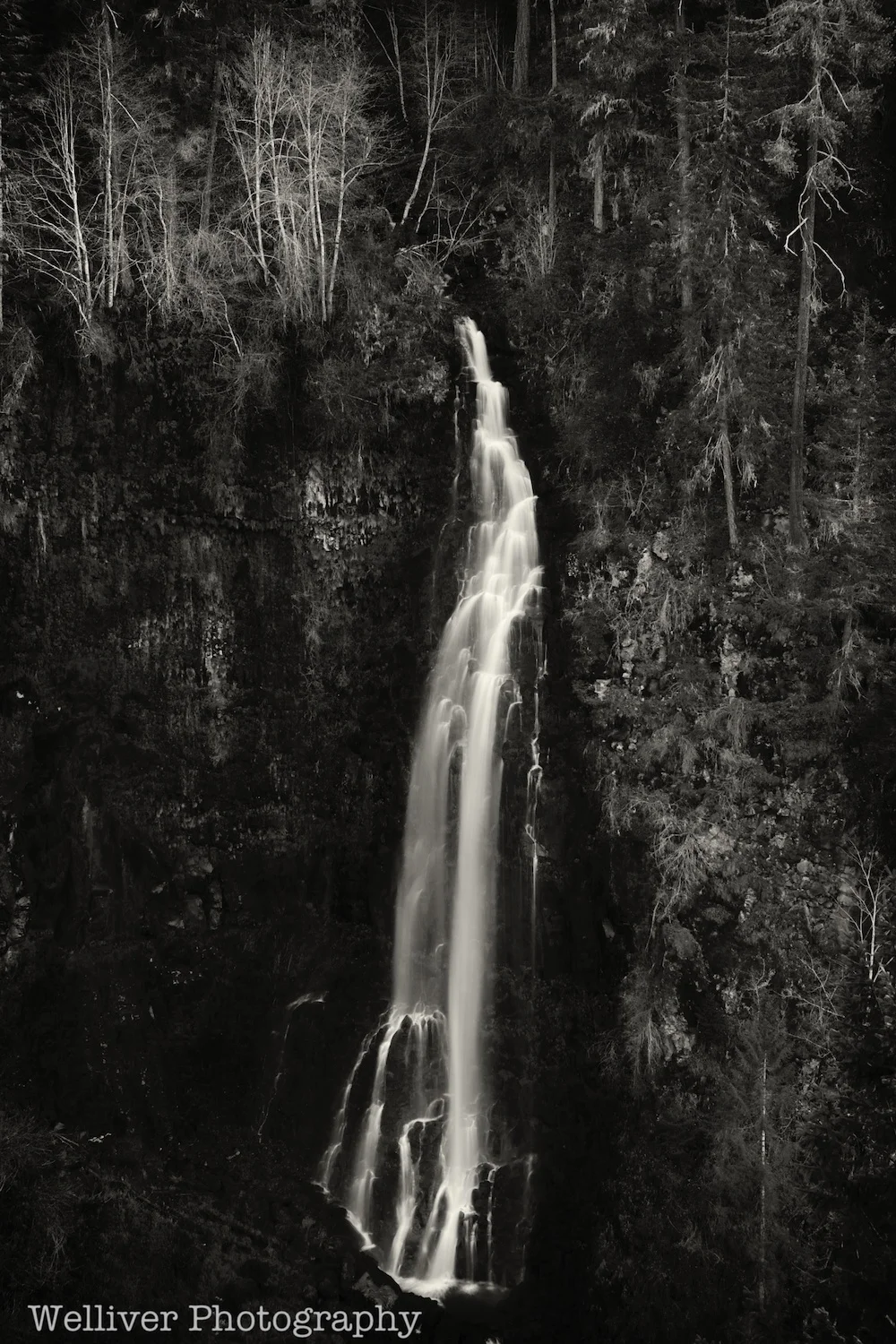 Barr Creek Falls near Prospect, Oregon. 