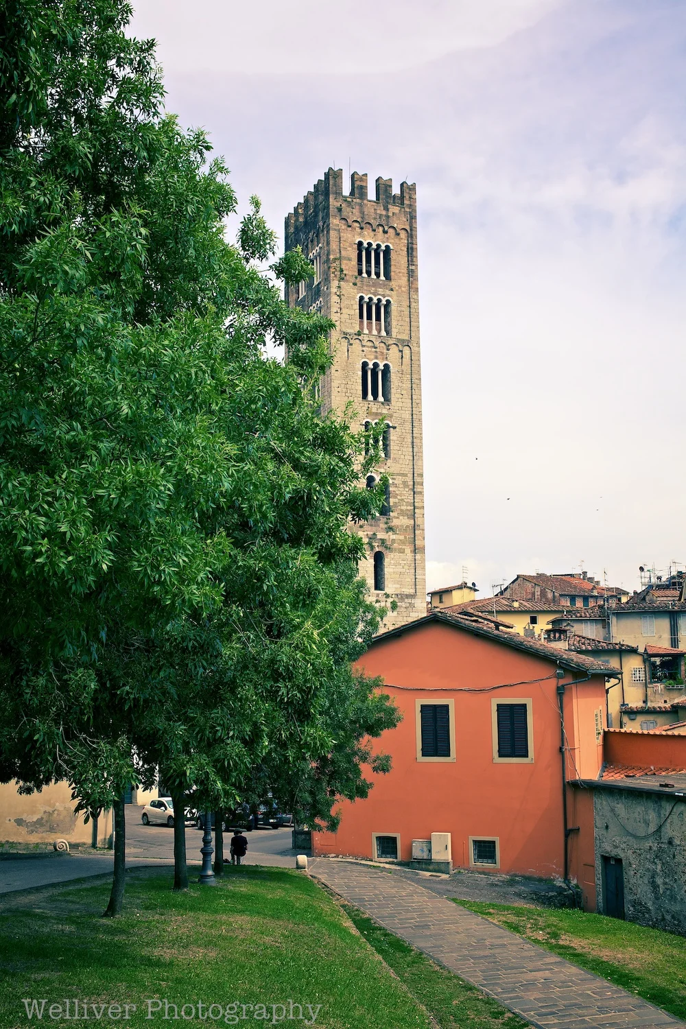 EOS5DMKII-TMW-20130711-IMG_2457.jpg