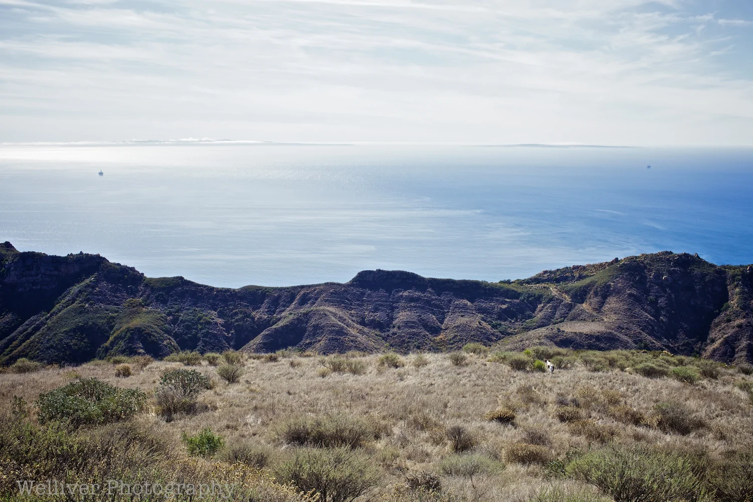EOS5DMKII-TMW-20140216-IMG_9213.jpg