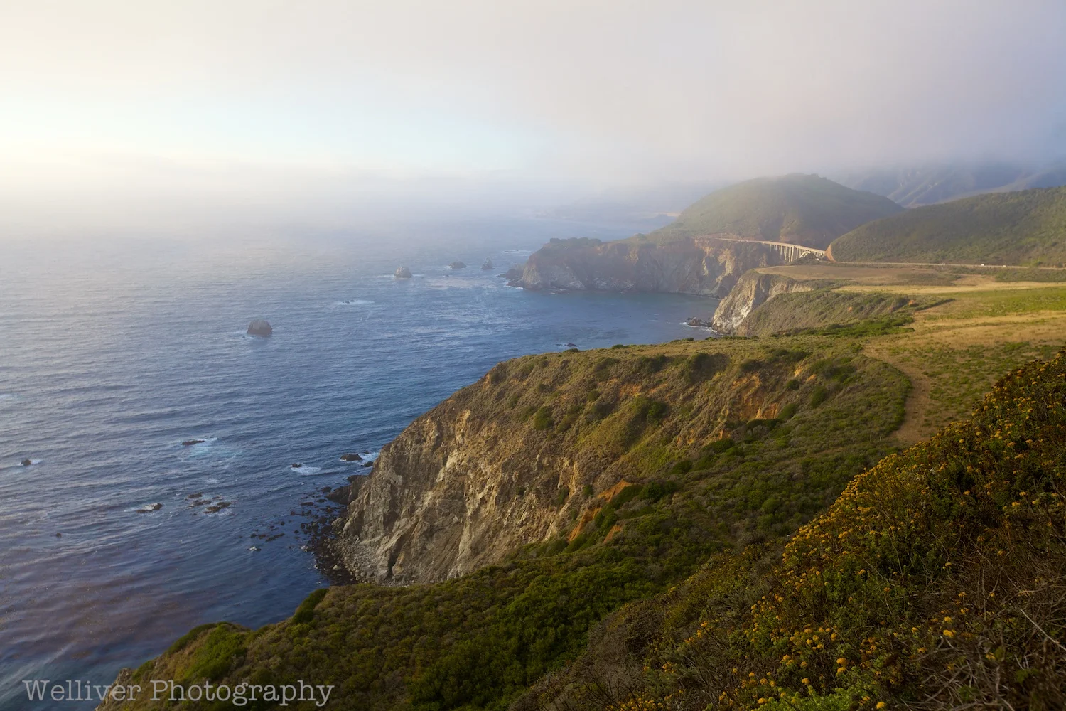 EOS5DMII-TMW-20120819-IMG_5550.jpg