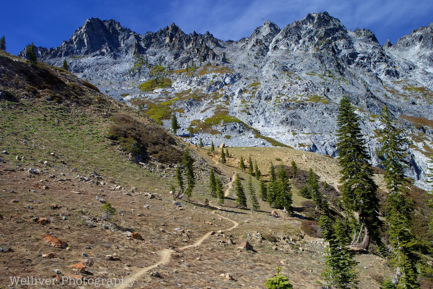 If you look closely, you can see the speed hikers up the trail from me. 