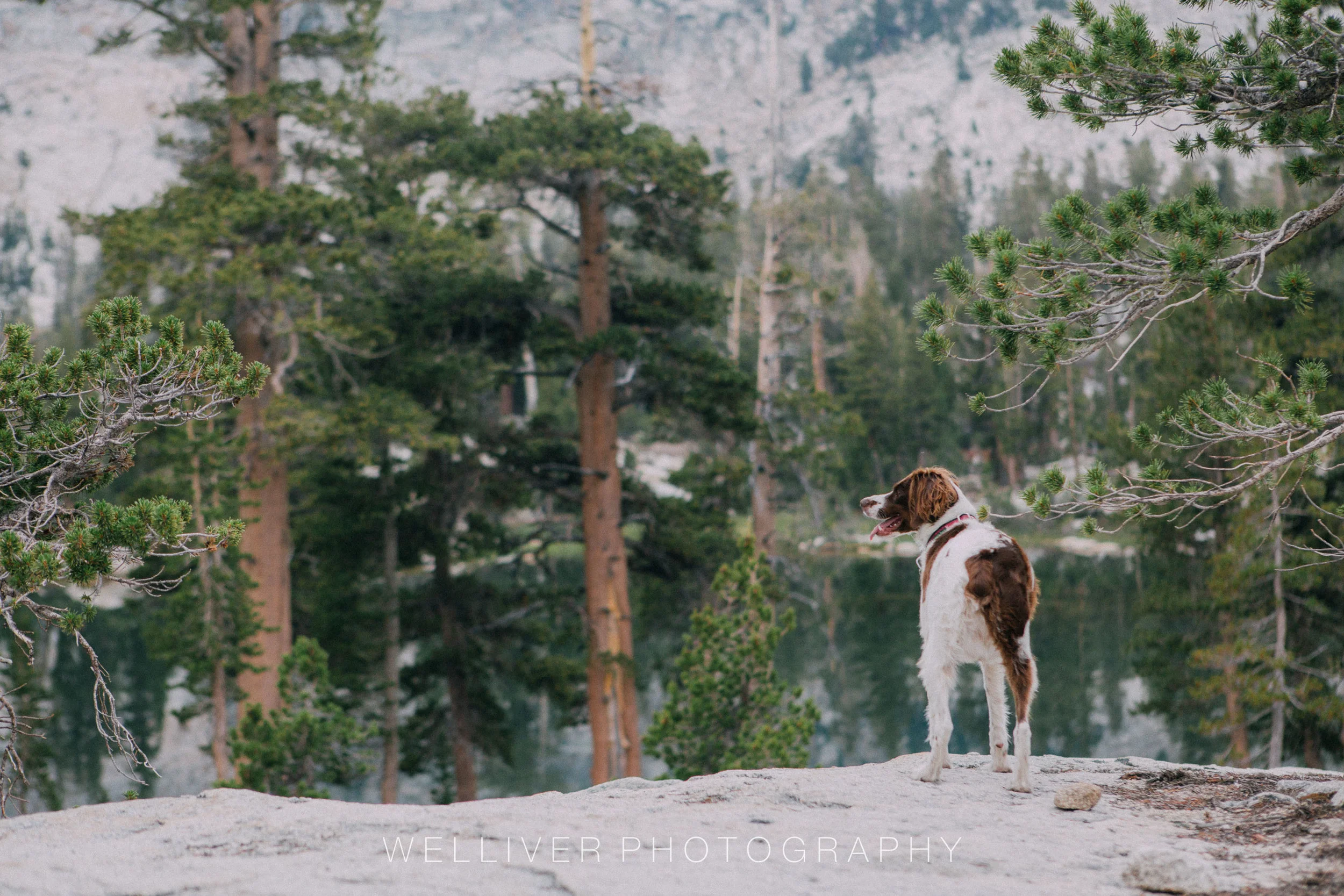 Massey Monday: Watching the Lake