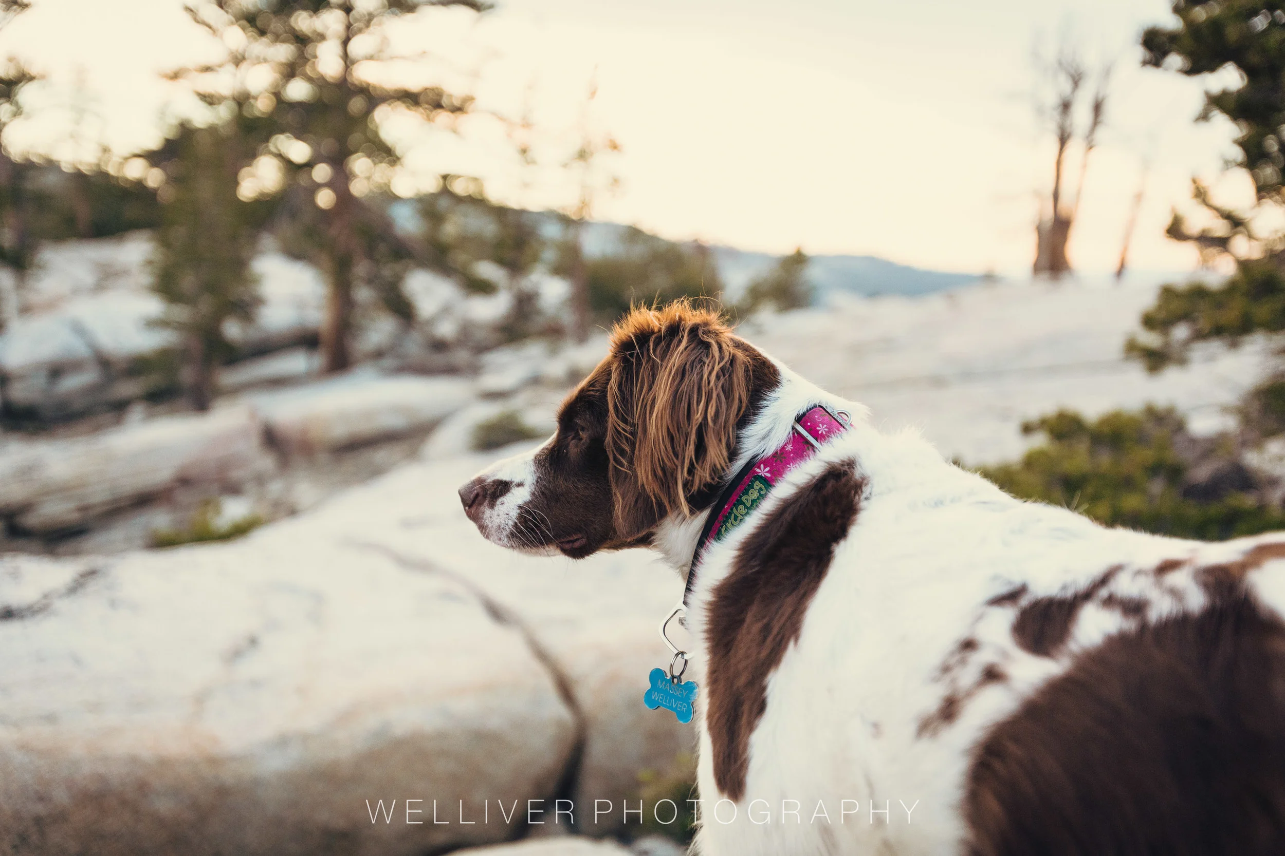 Massey Monday: Focus