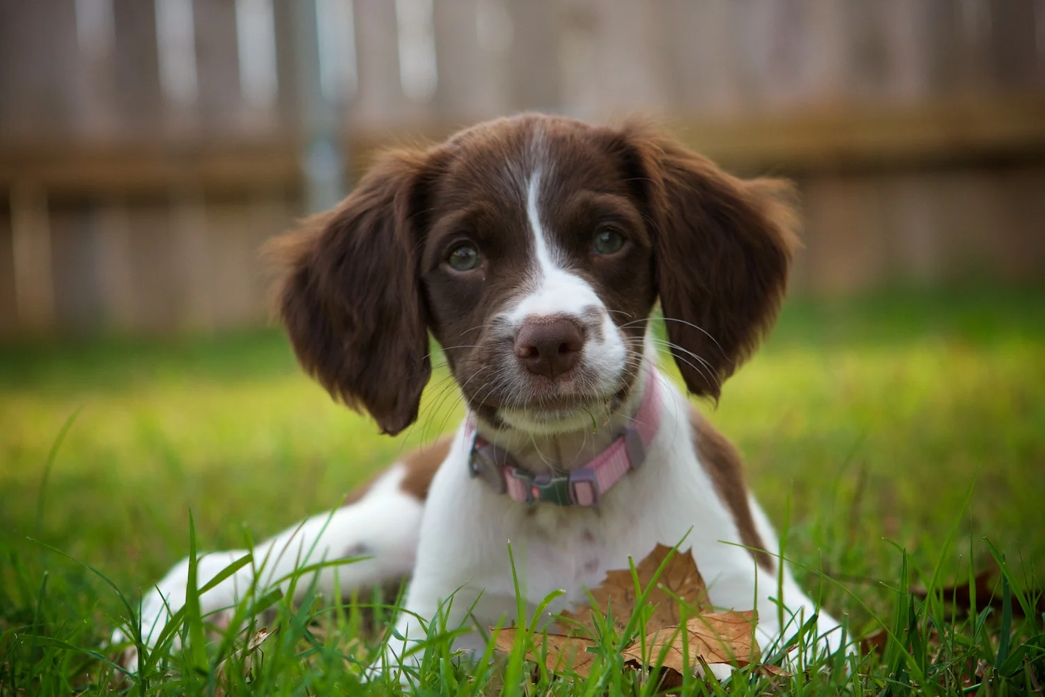 Massey Monday: Happy Birthday!