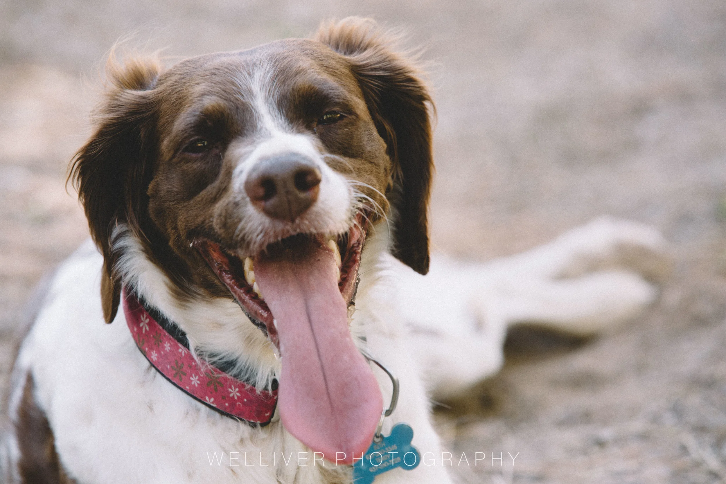 Massey Monday: That Smile