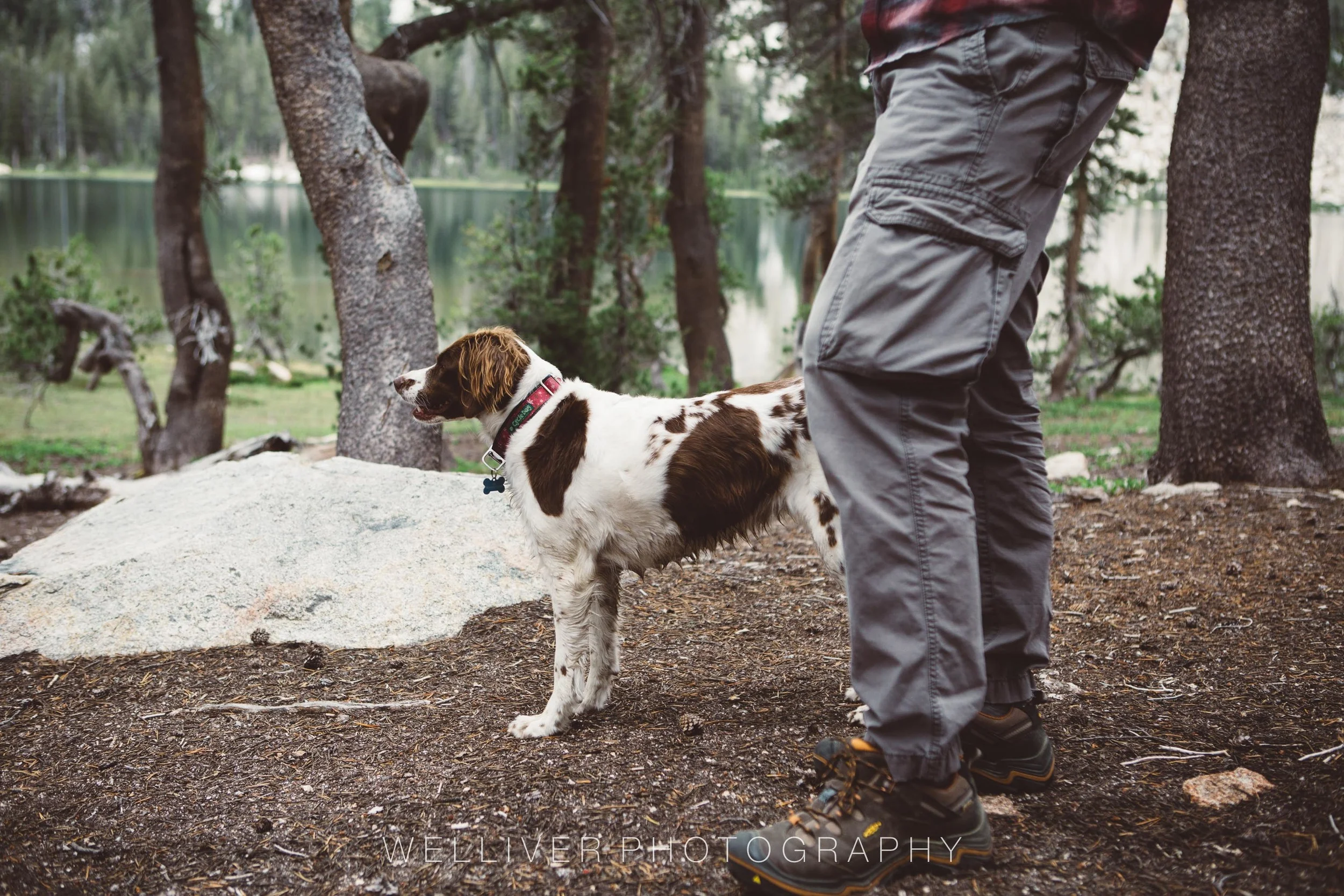 Massey Monday: Our Hiking Buddy