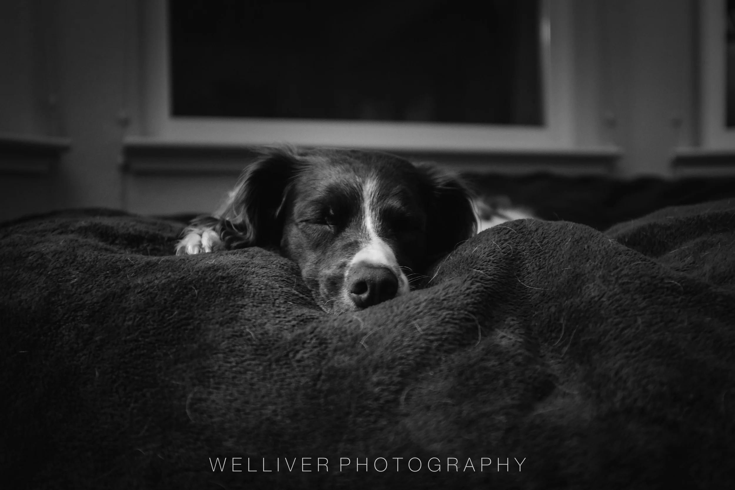 Massey Monday: Snoozin'