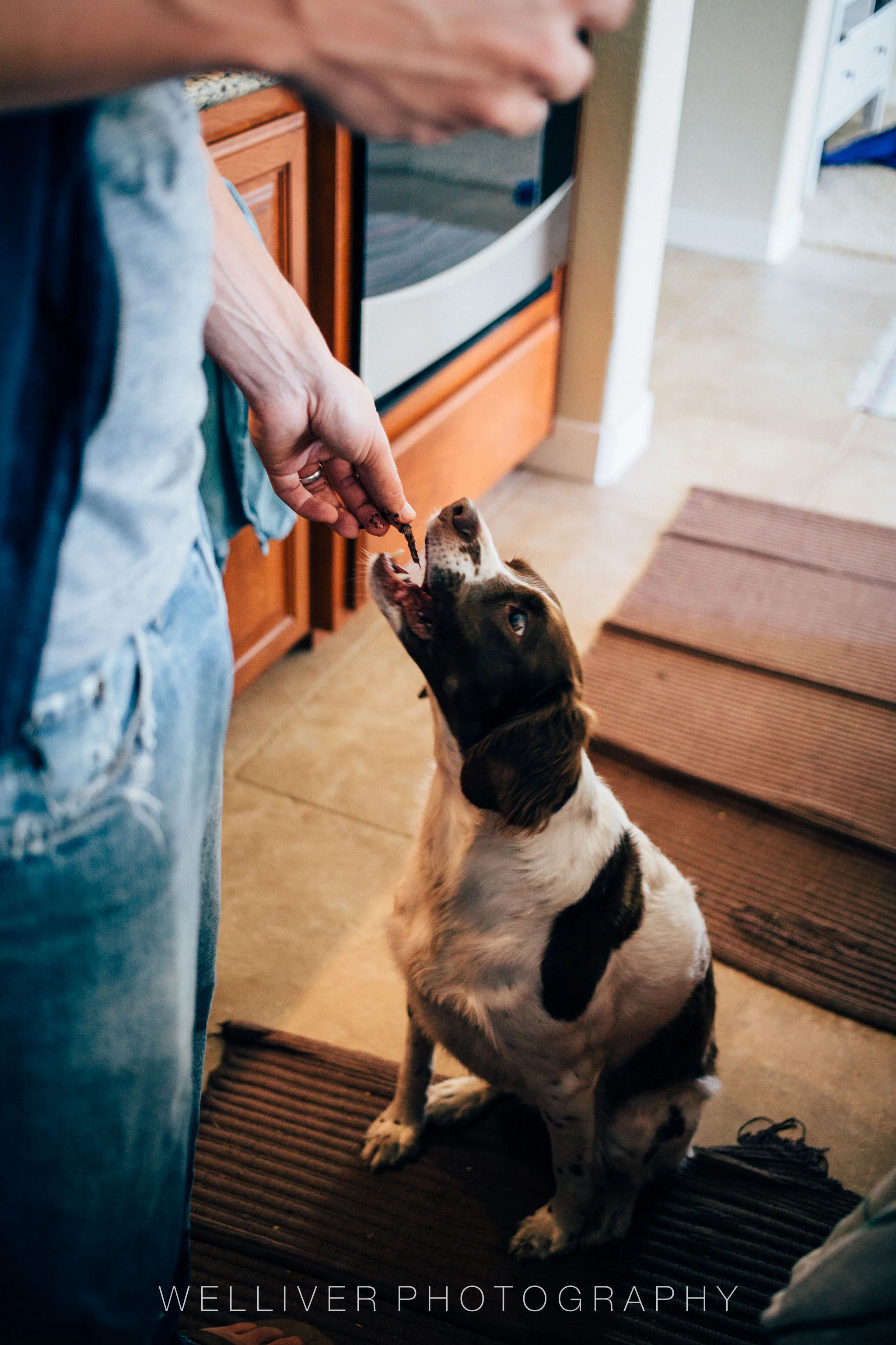 Massey Monday: Samples