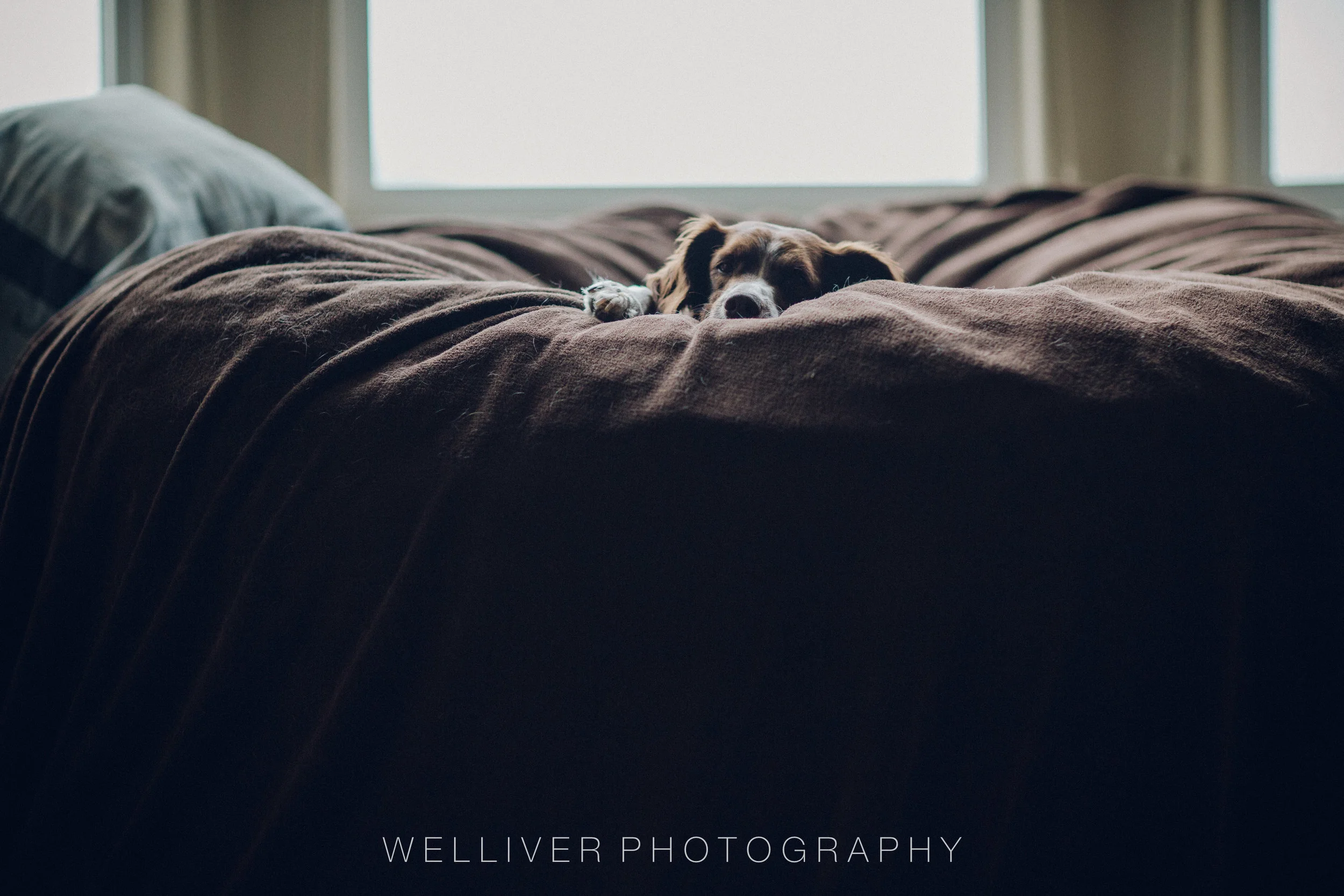 Massey Monday: Relaxing