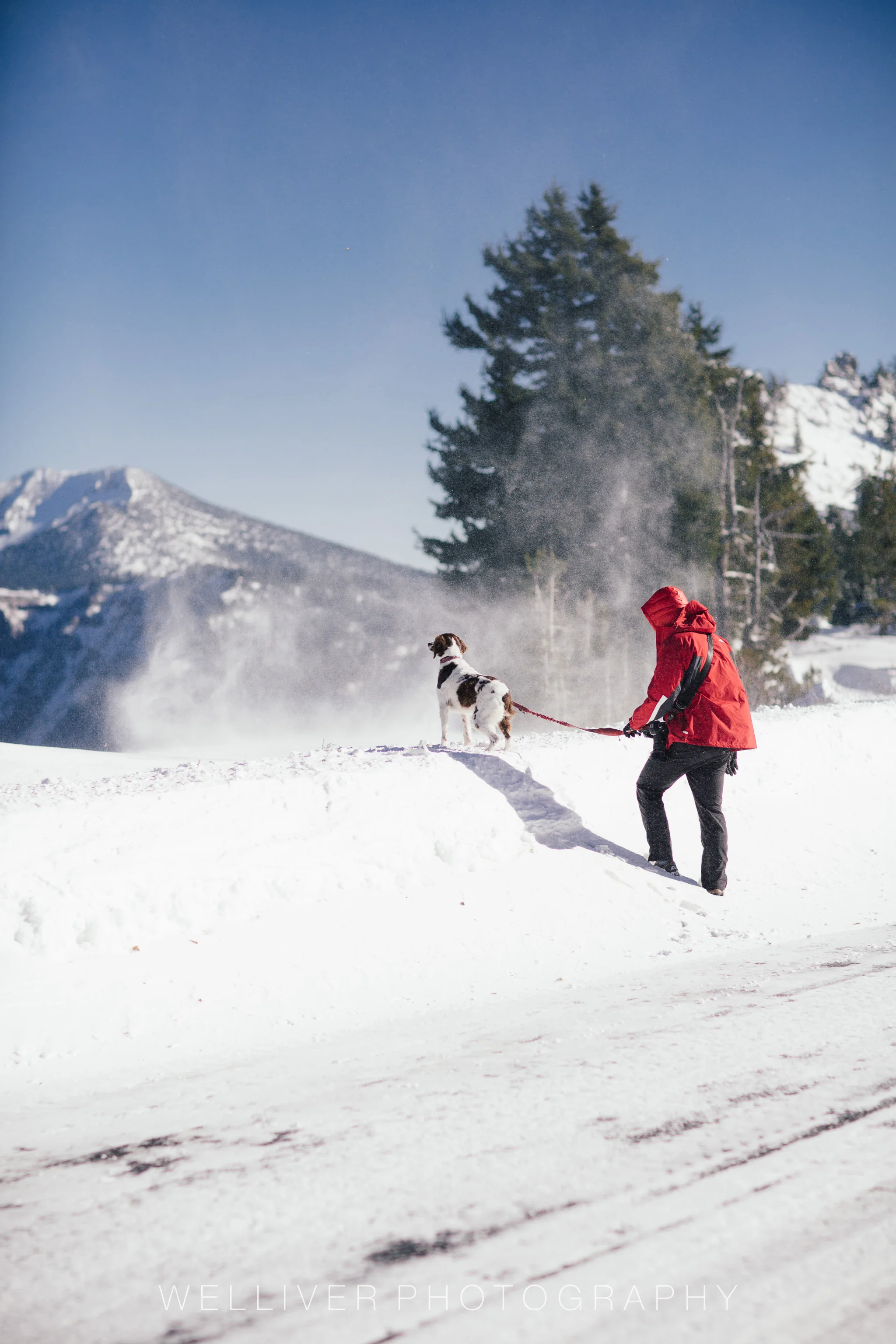Massey Monday: Snownado