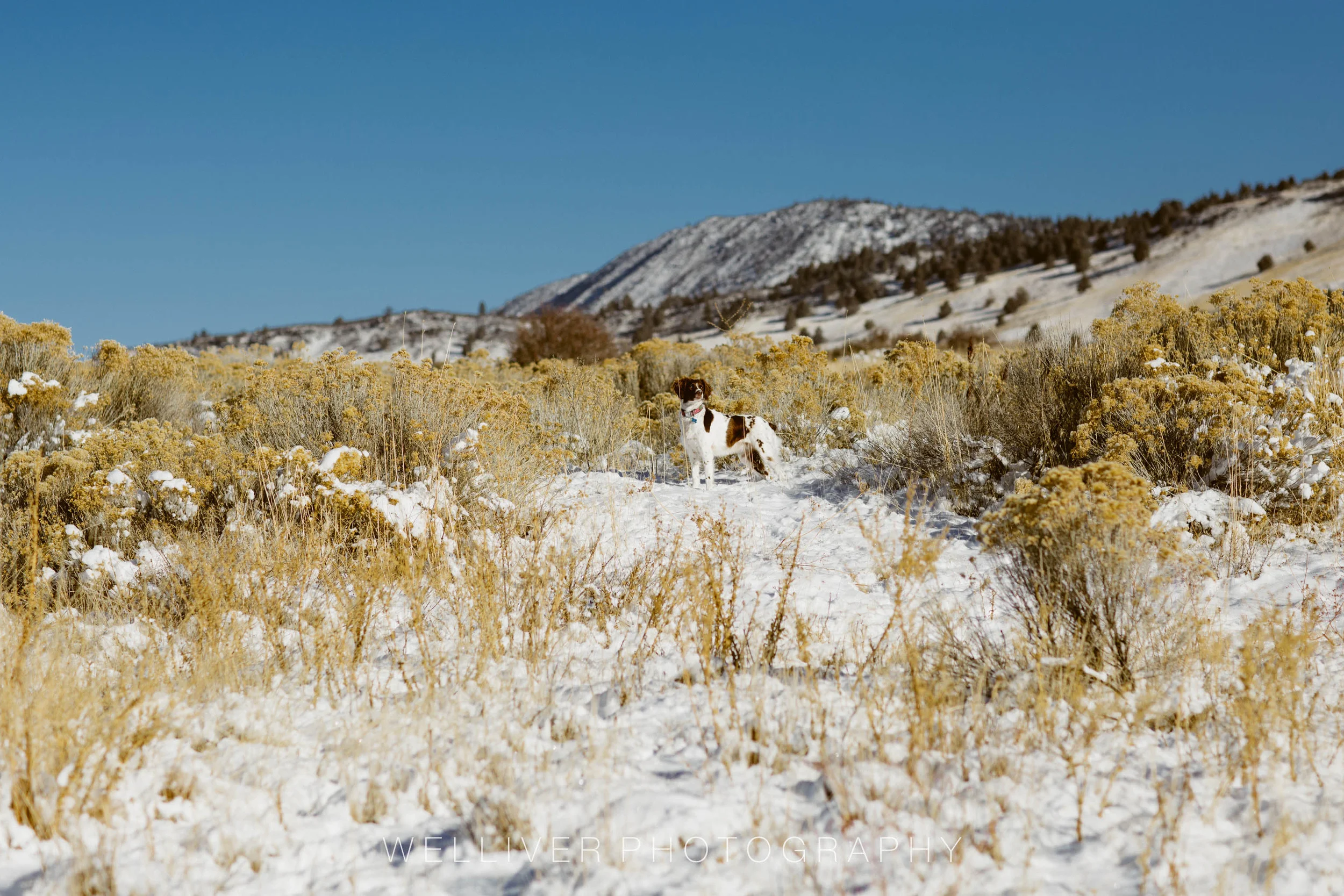 Massey Monday: Snow Patrol