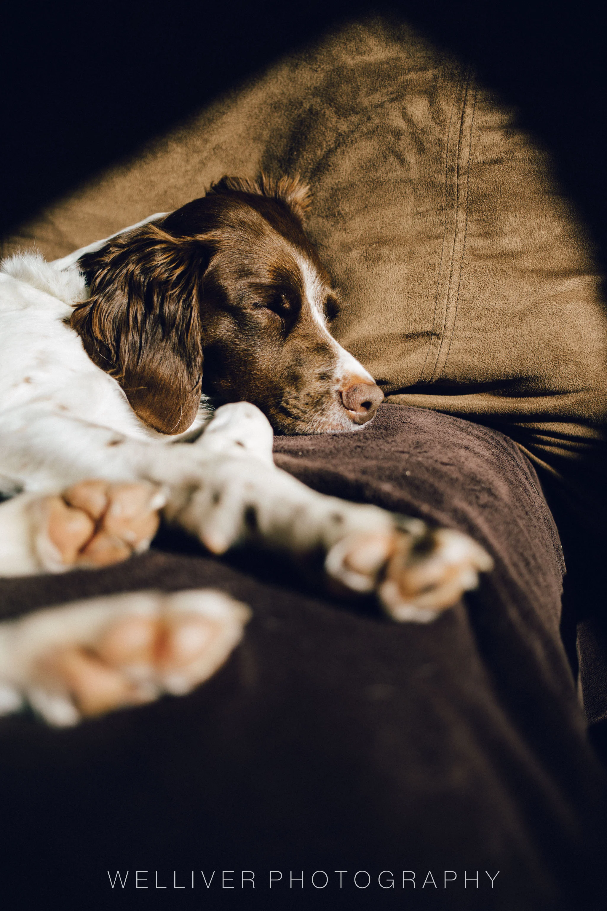 Massey Monday: Snoozin'