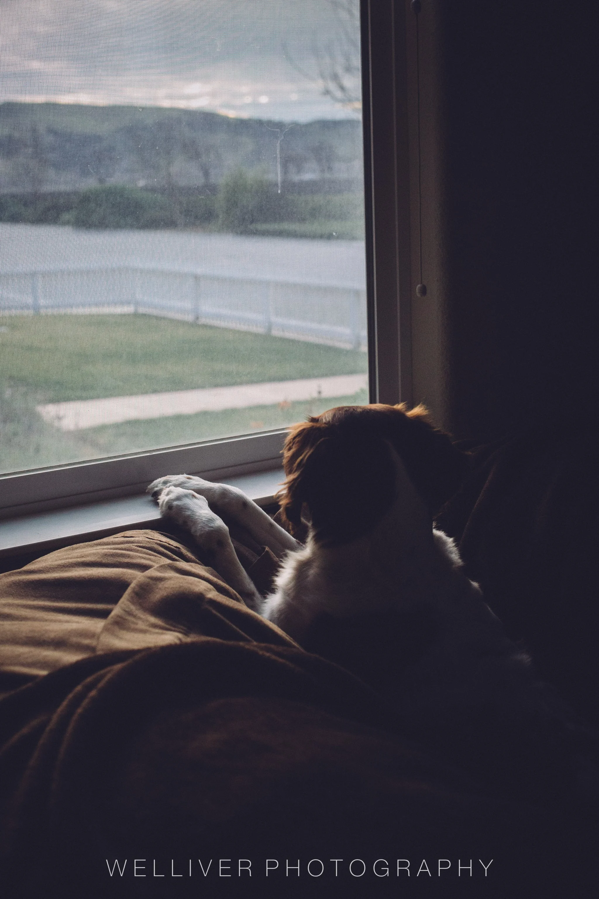 Massey Monday: Neighborhood Watch