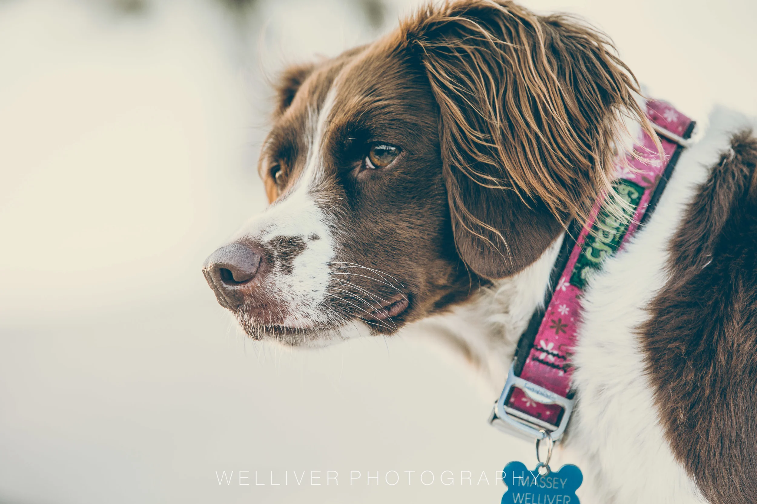 Massey Monday: The Mas