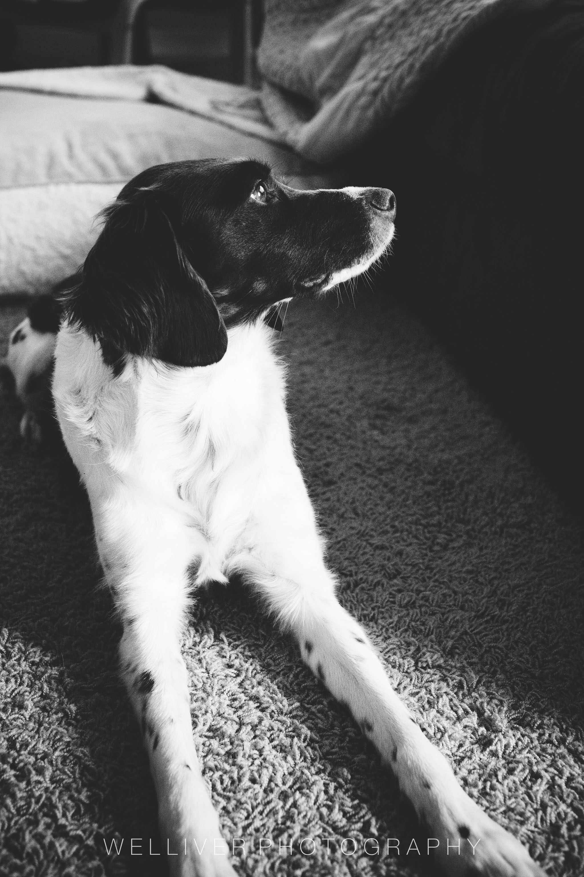 Massey Monday: Can we go run now?