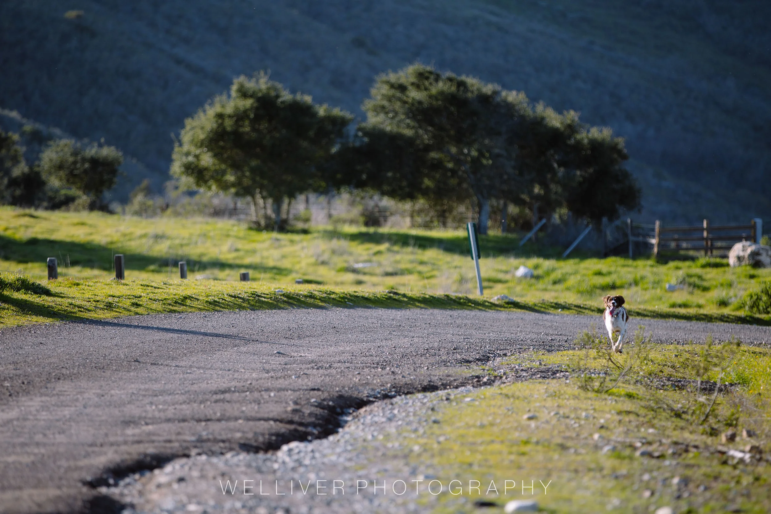 Massey Monday: Coast Road