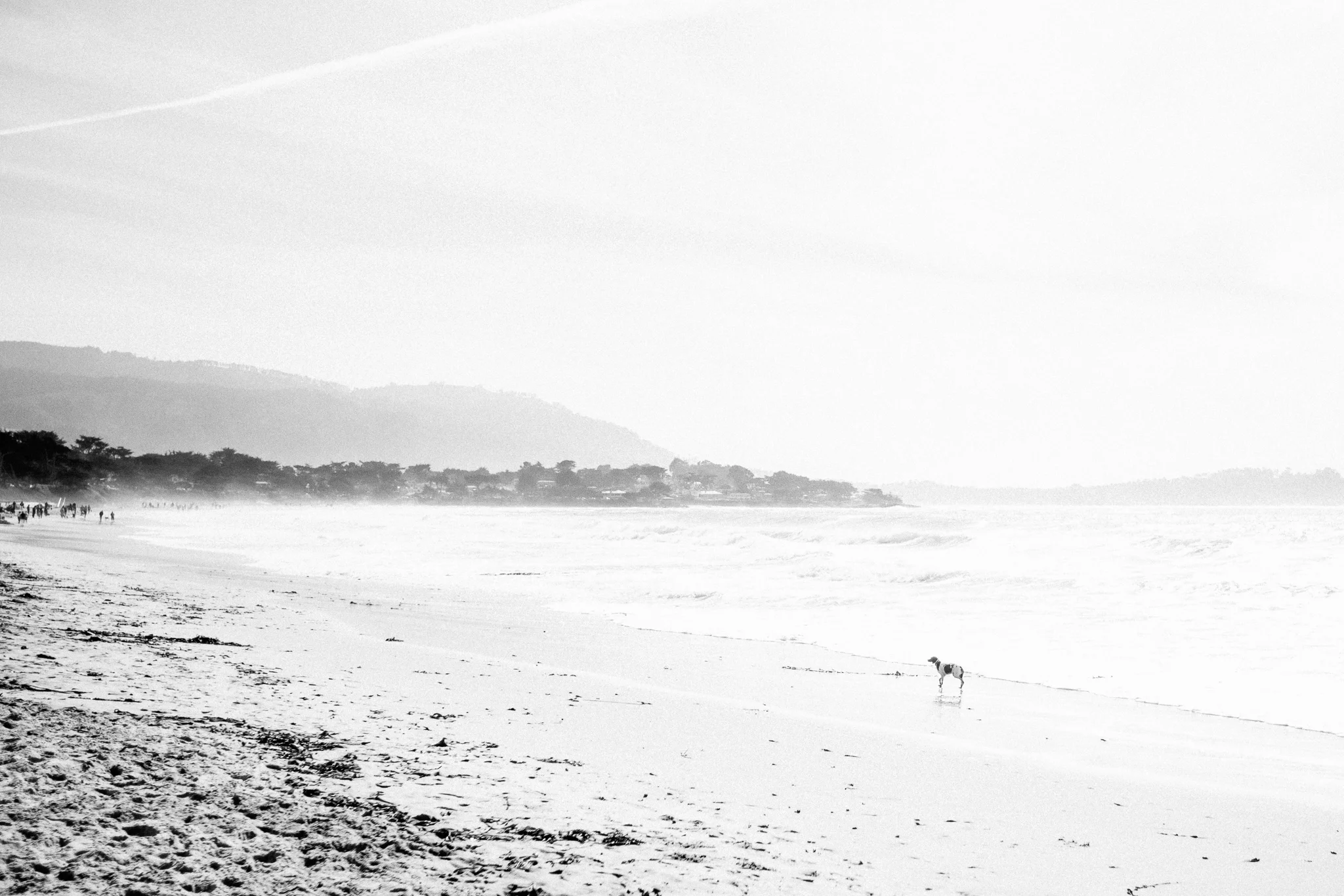 Massey Monday: She's been hanging out on a beach somewhere...