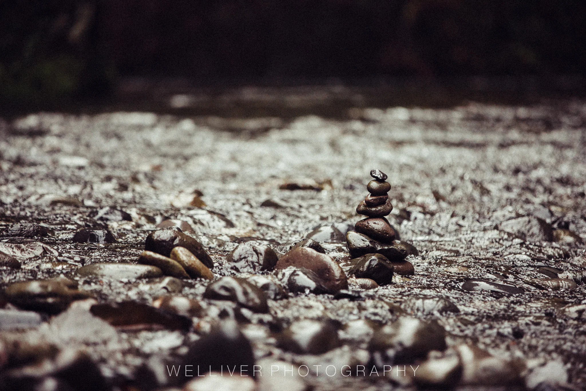 Two Word Tuesday: Flooded Trail