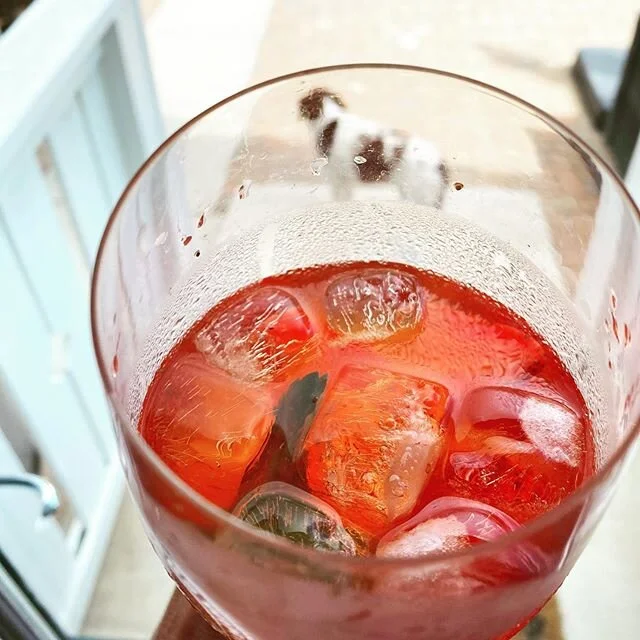 Jolly Rancher sangria. Kind of stupid dangerous #culinaryterry #strawberrysavblanchuckleberryvodkamintsimplesyrup #blueberrysavblanccitrusvodkamintsimplesyrup #24hoursinrefrigerator  #masseyrocks #brittanyspaniel #brittanyspaniels #brittanyspaniellov