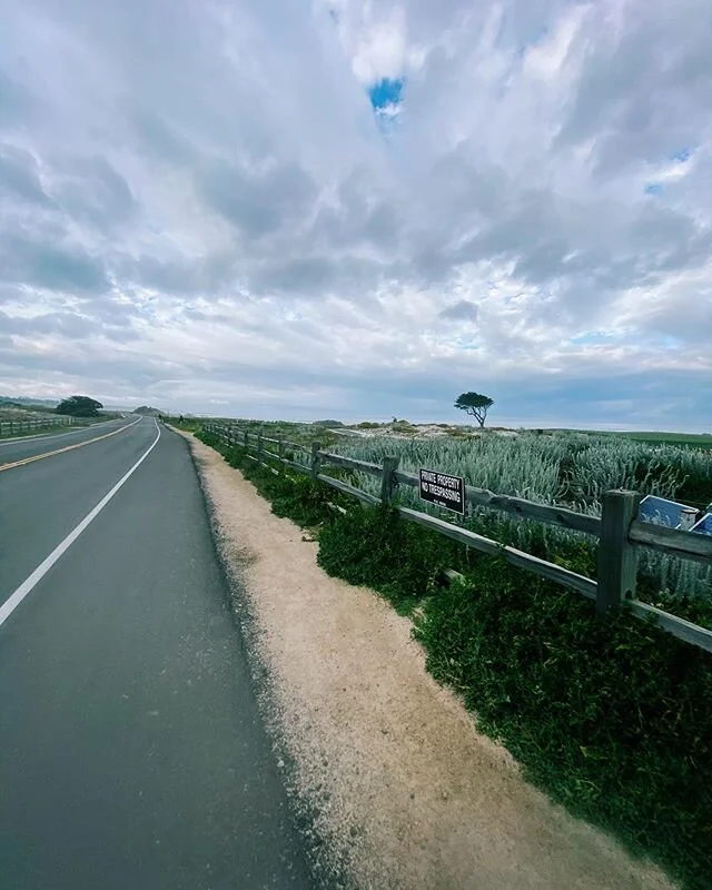 Rode to the place where the fancy people live next to the ocean today. Used to ride here a lot. Today I confirmed, fancy people are still fancy. #17miledrive