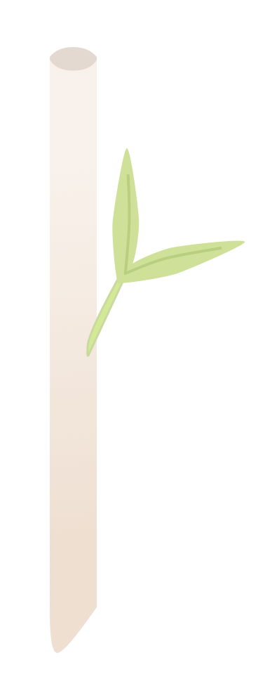 Bamboo_Straw.png