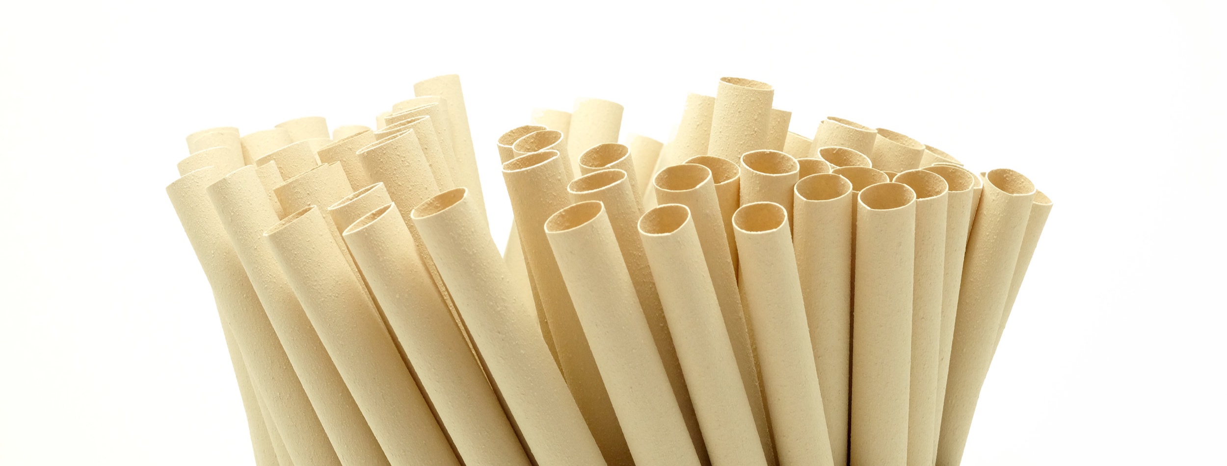 Bamboo Straws – Briut Essentials