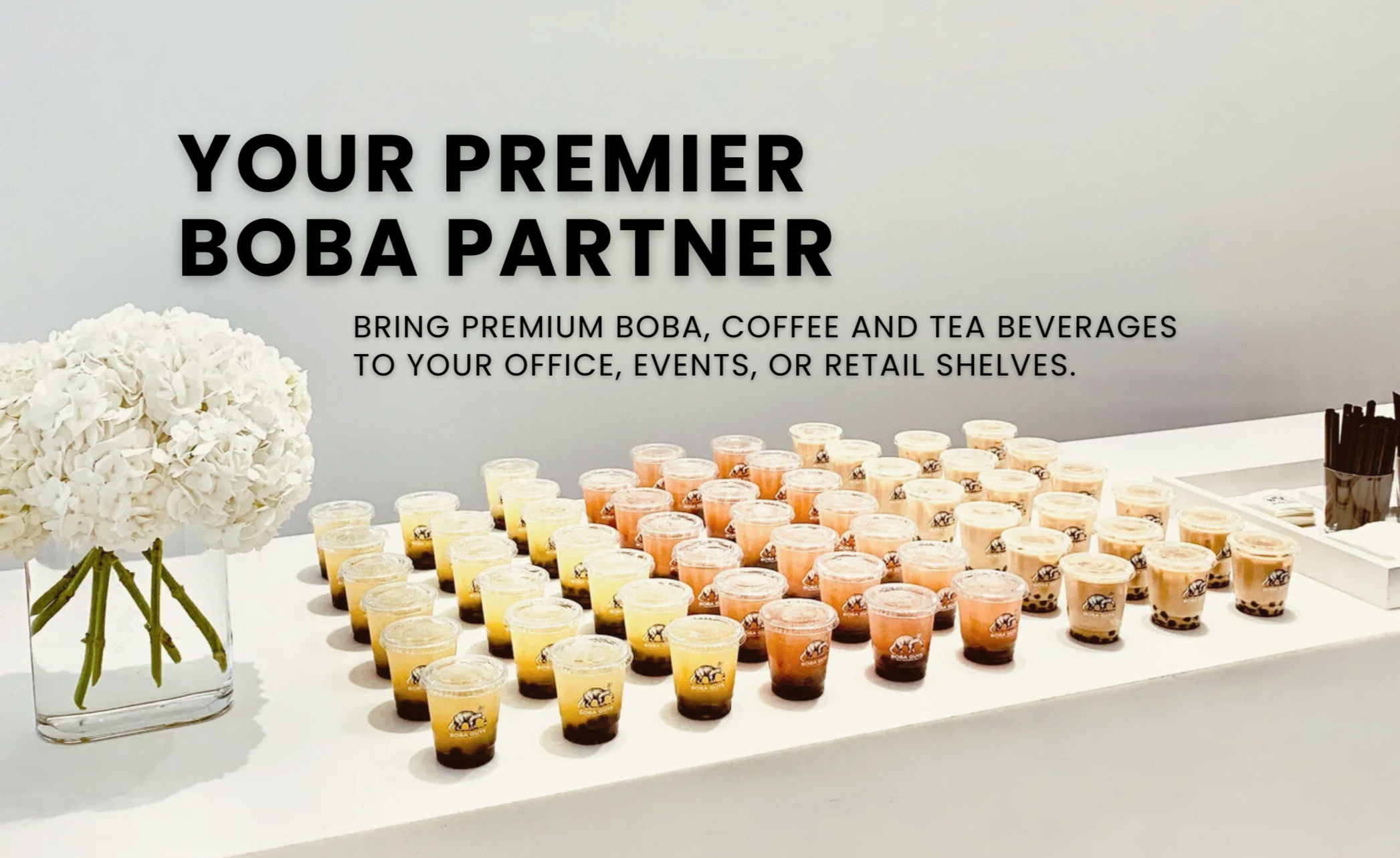 Website Header Photo.png