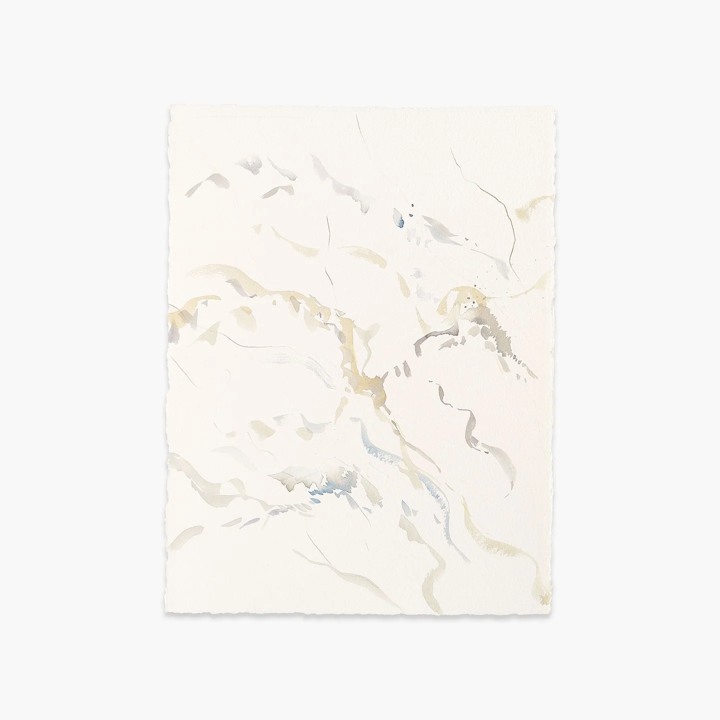 TUNDRA
