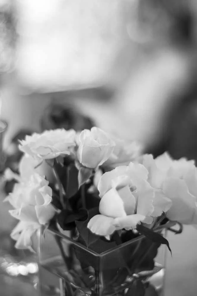 Annika & Justin-59.jpg