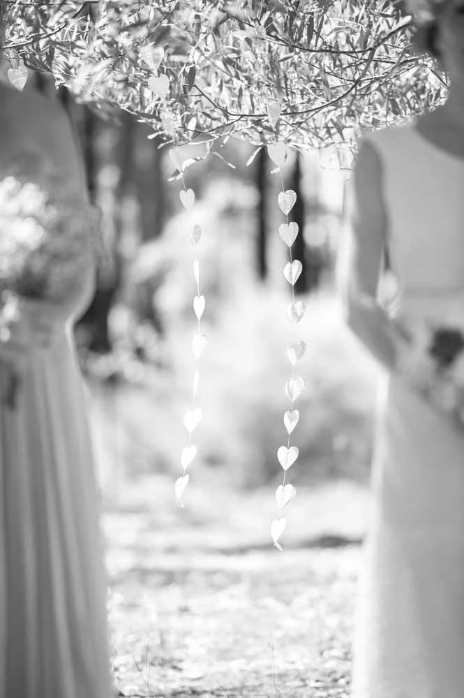 Annika & Justin-247.jpg