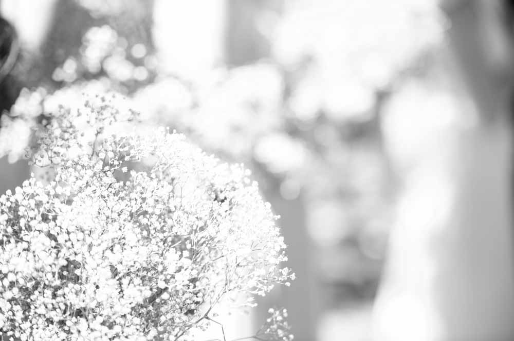 Annika & Justin-265.jpg