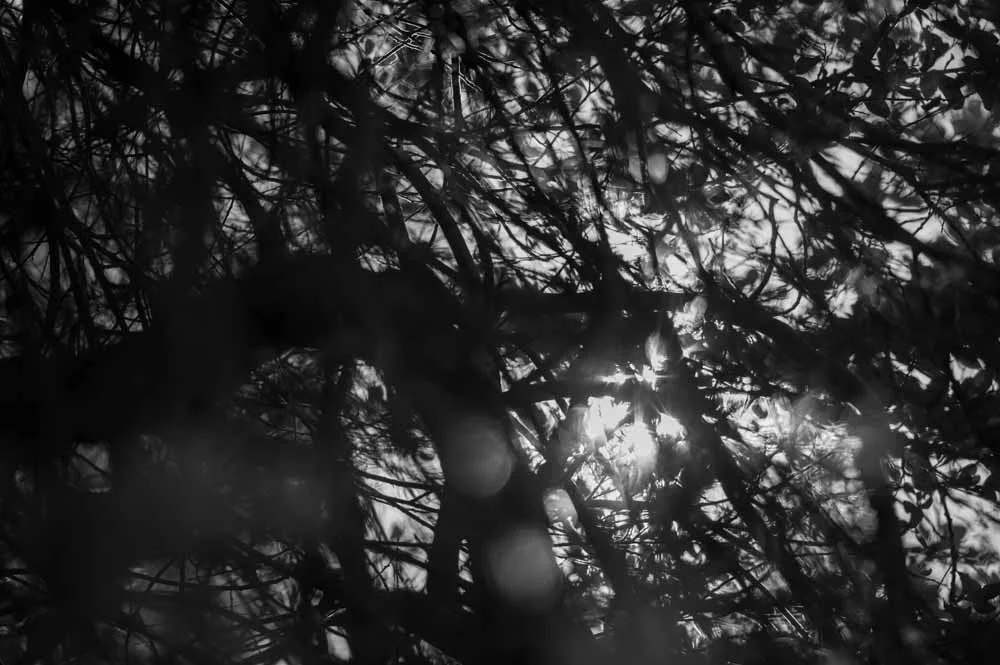 Annika & Justin-423.jpg