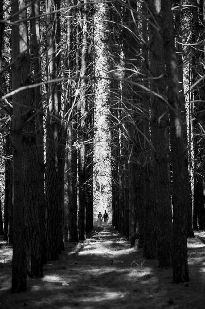 Annika & Justin-469.jpg