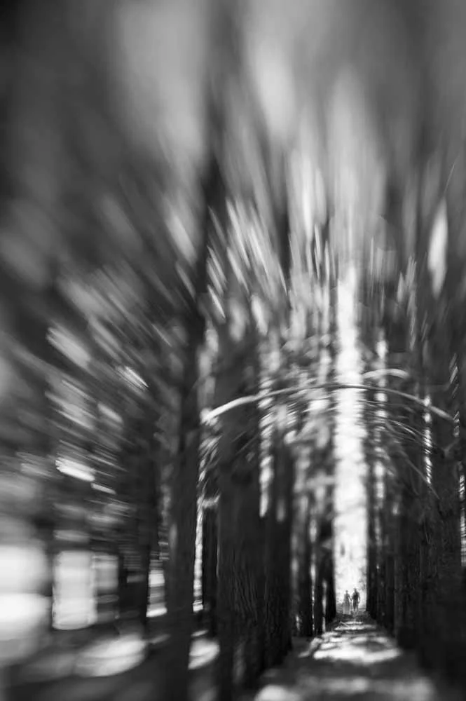 Annika & Justin-471.jpg