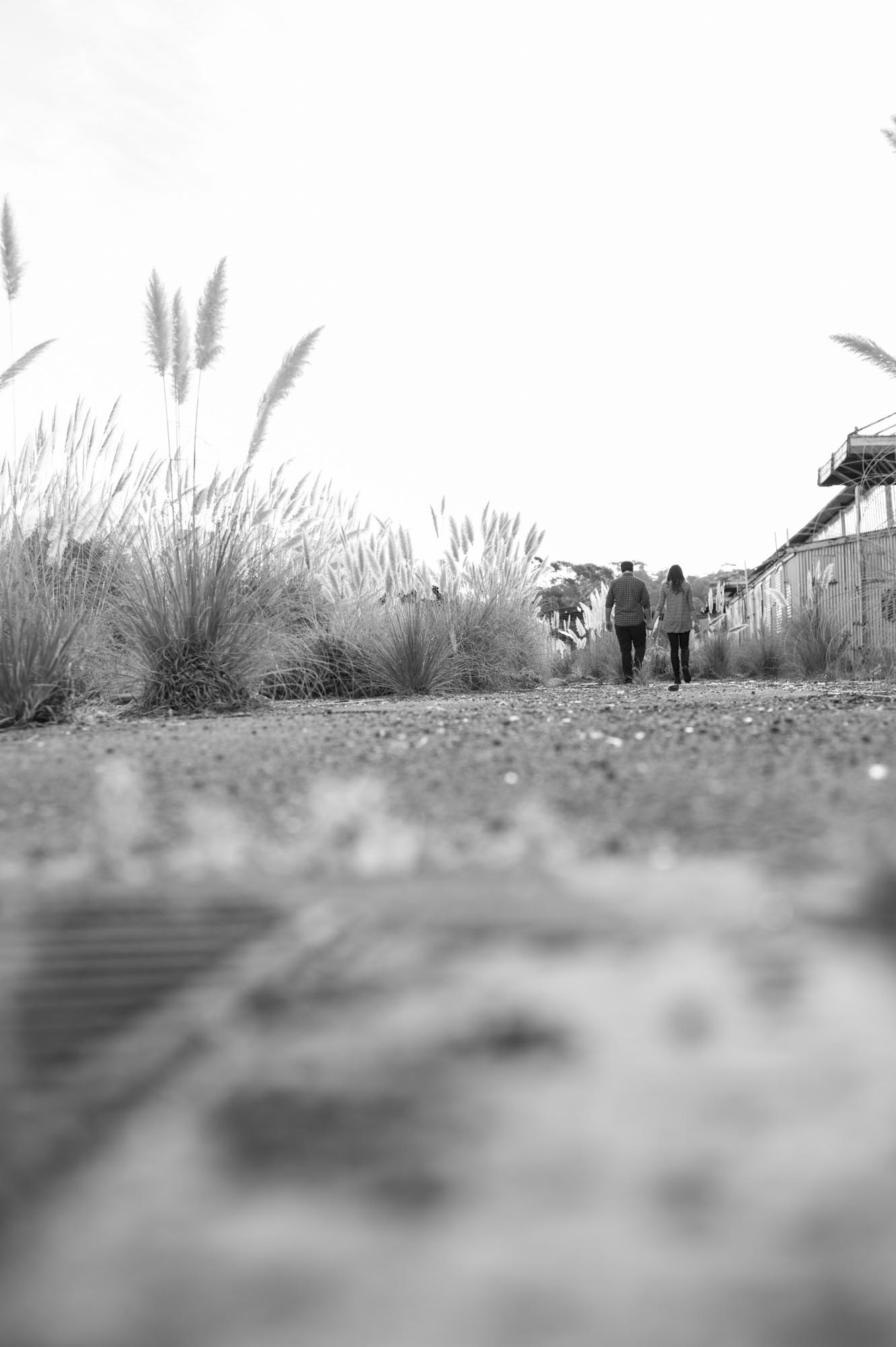 Dana&Ramon-64.jpg