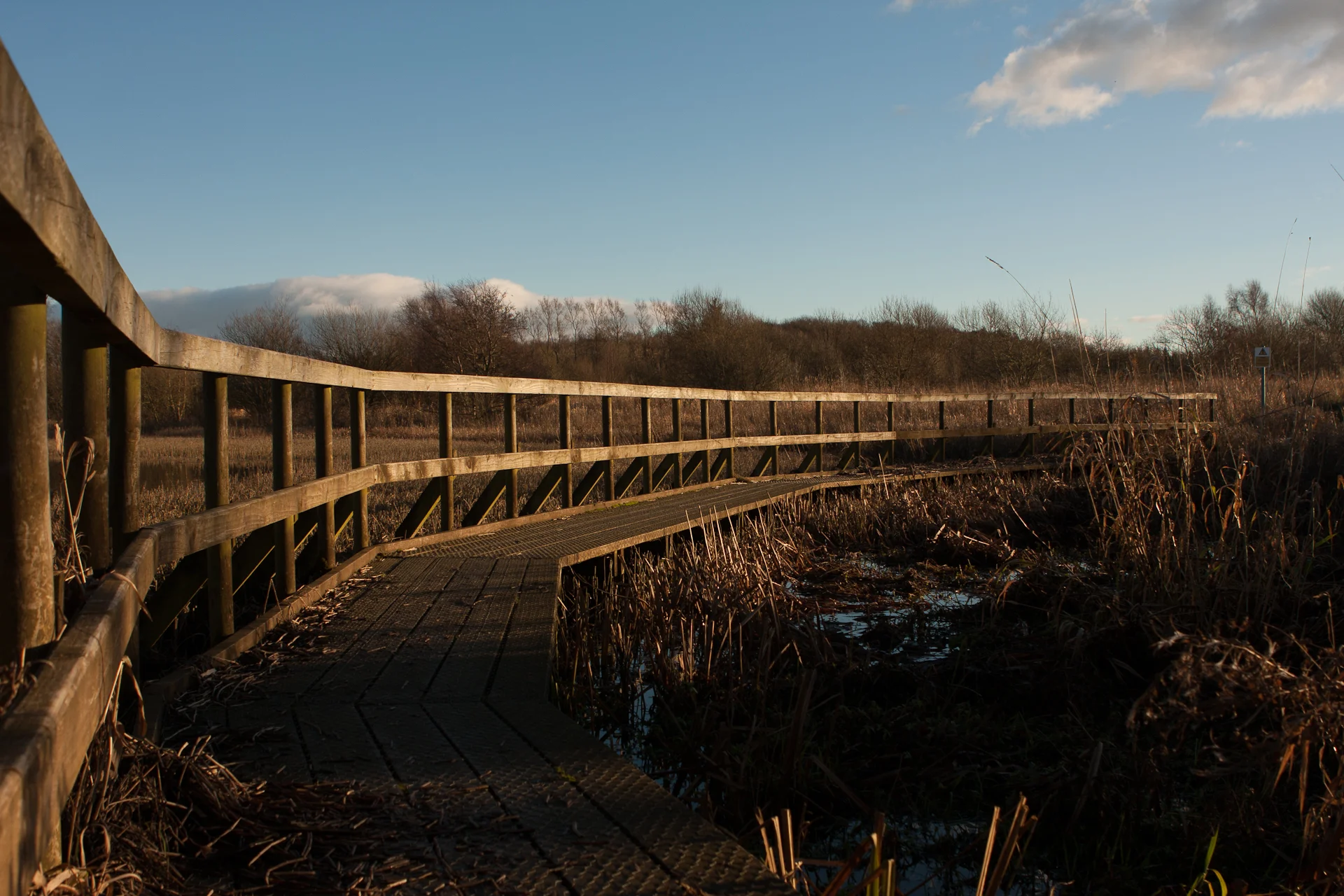 Eglinton Park, North Ayrshire. Forgot about this one, and ultimately didn't grab me enough.