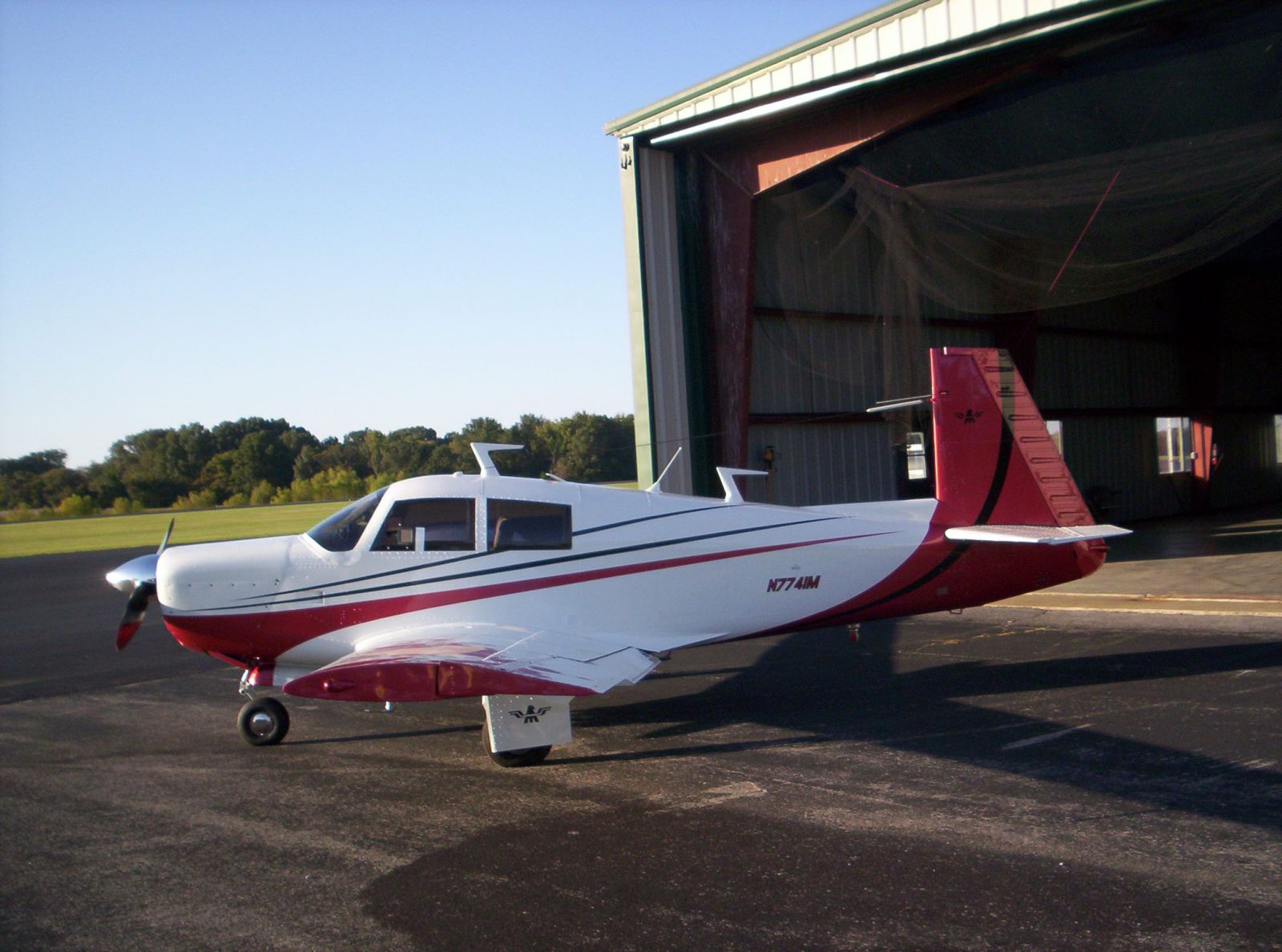 Mooney gal 4.jpg