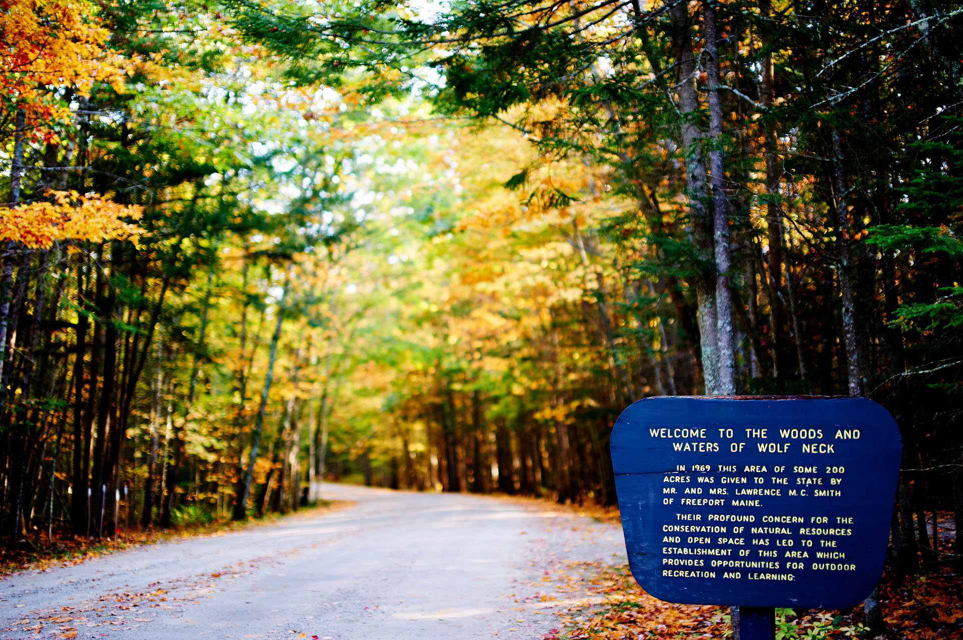 maine_image13.jpg
