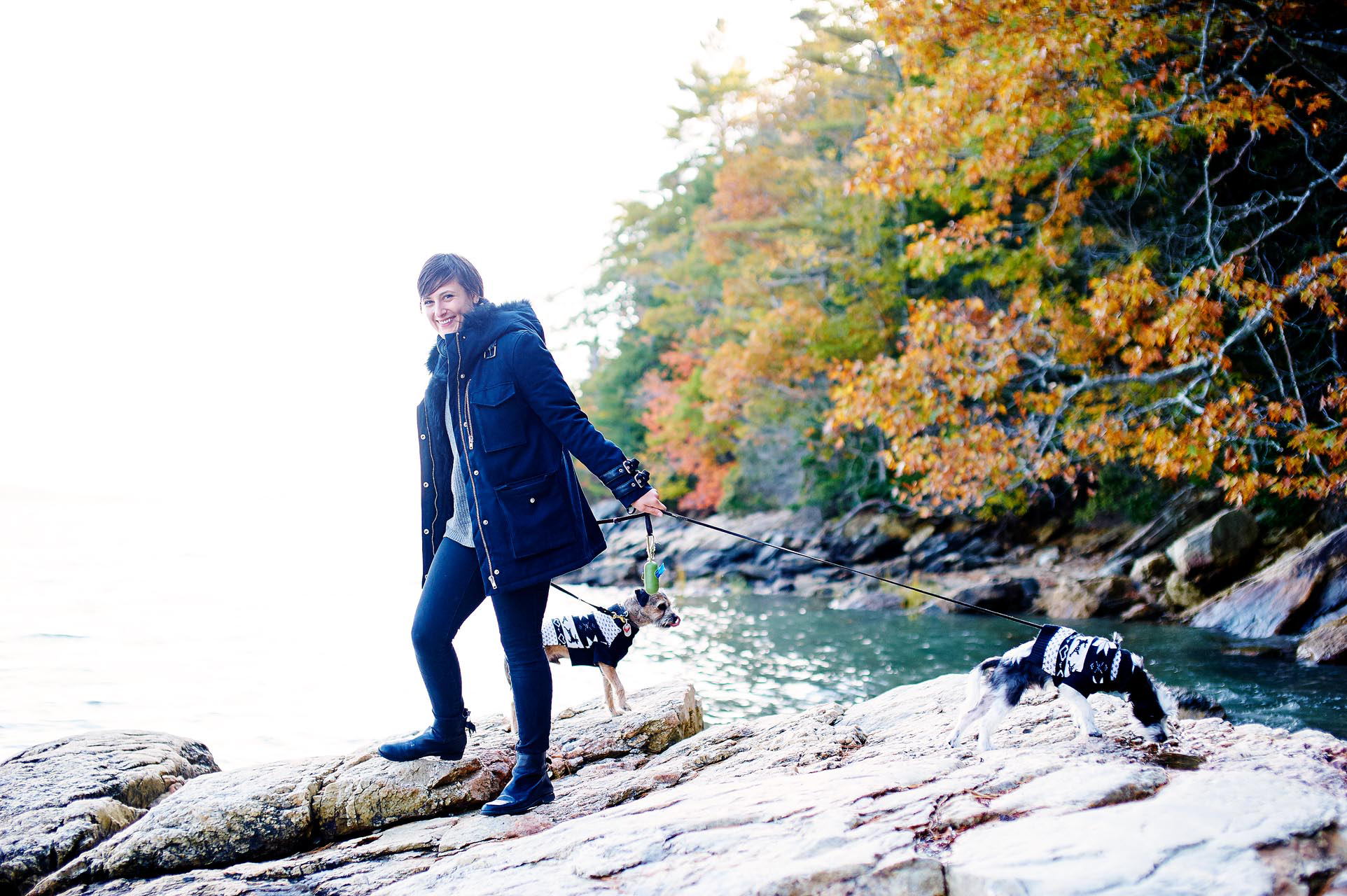 maine_image32.jpg