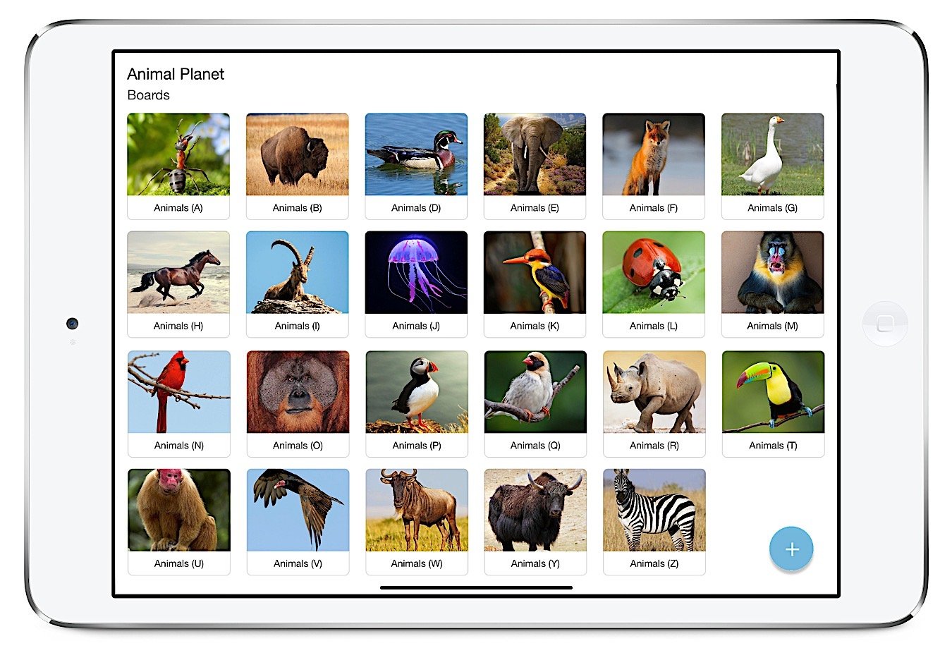 Flashcards - Animal Flashcards