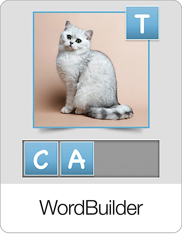 Word Builder Flashcards Game
