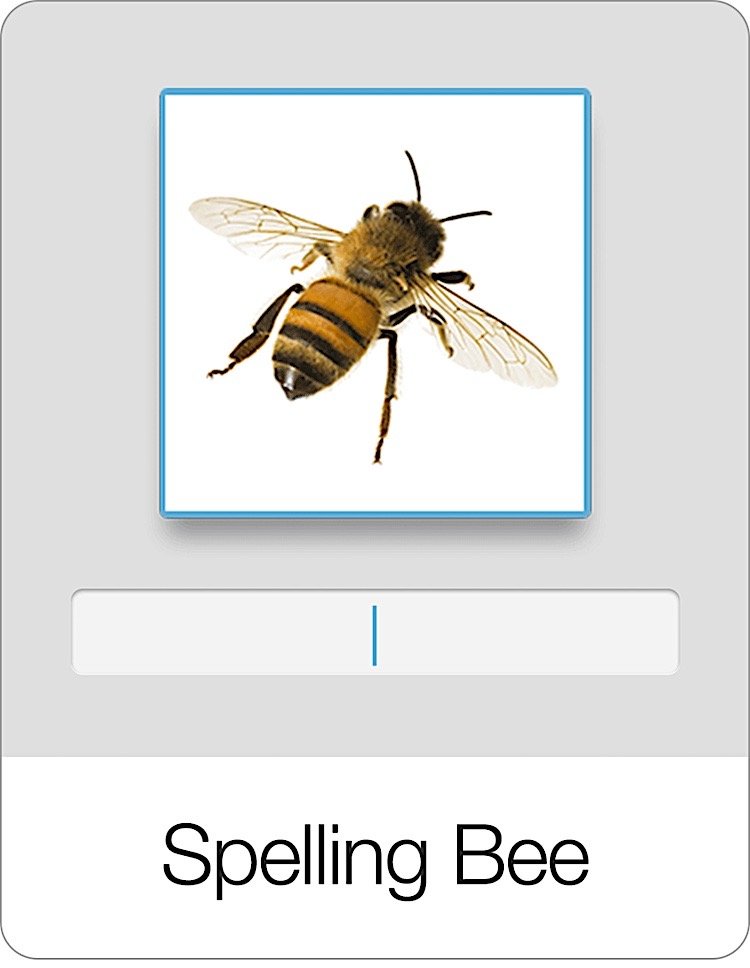Spelling Bee Flashcards Game