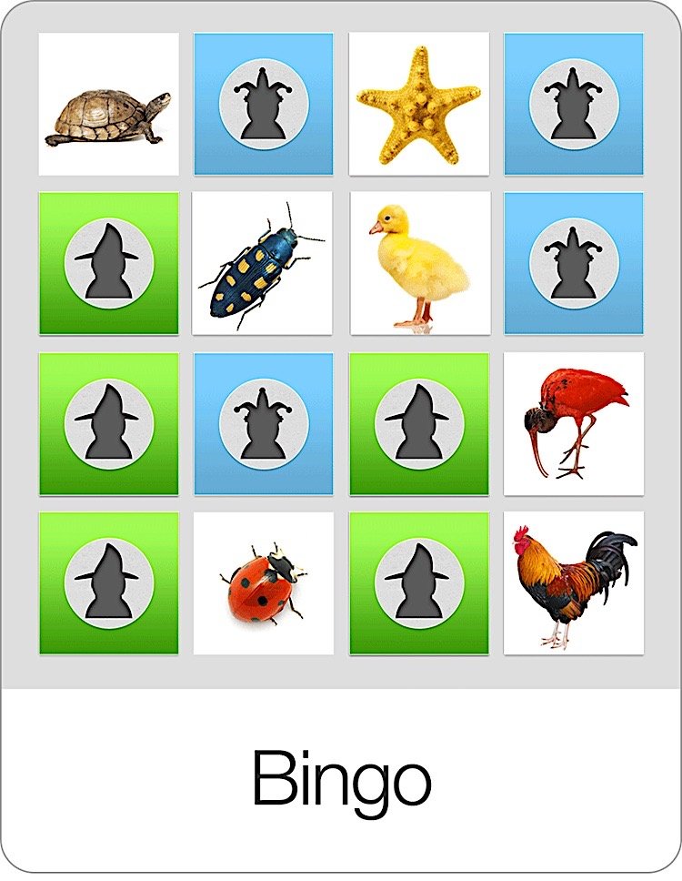 Bingo Flashcards Game