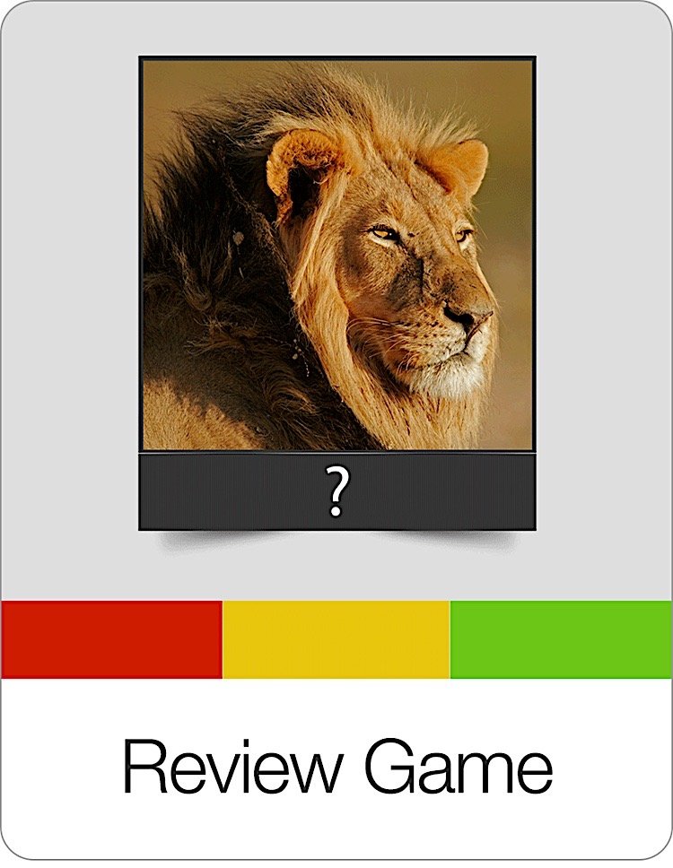 Review Flashcards Game