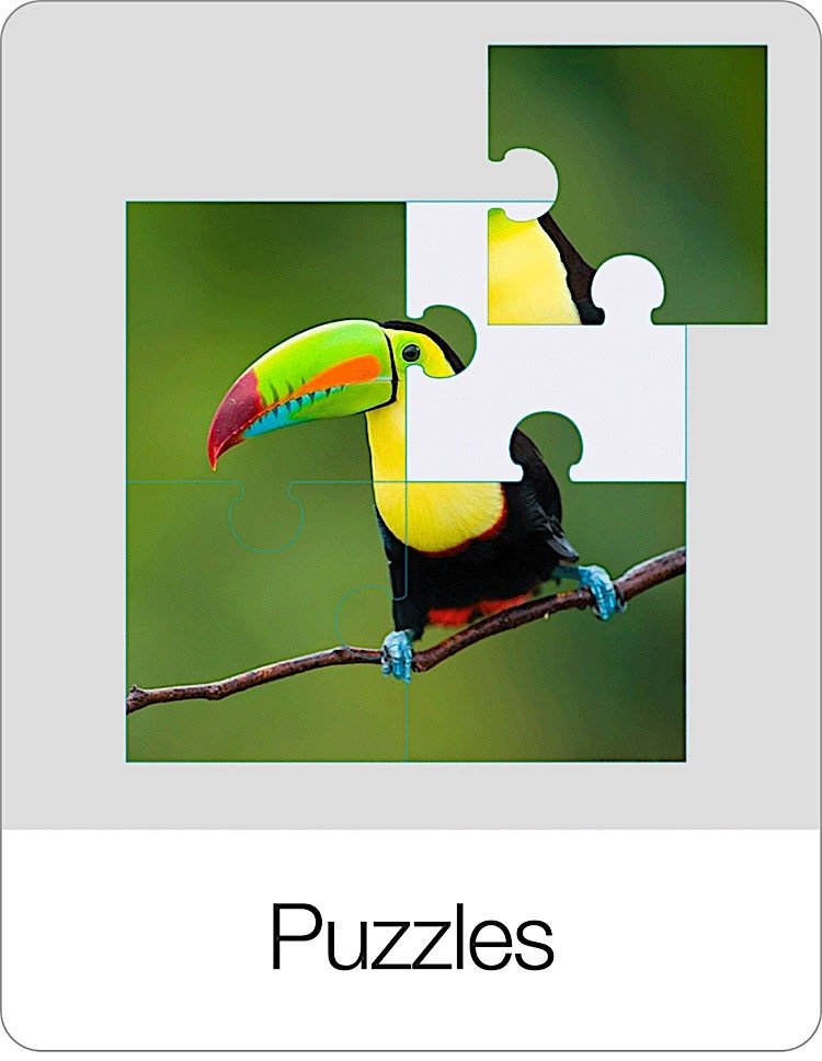 Flashcards Puzzle Game