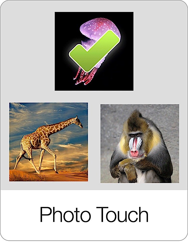 Flashcards Photo Touch Game