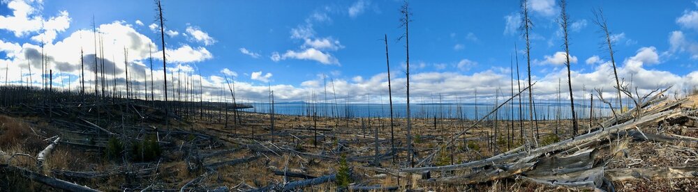 Yellowstone