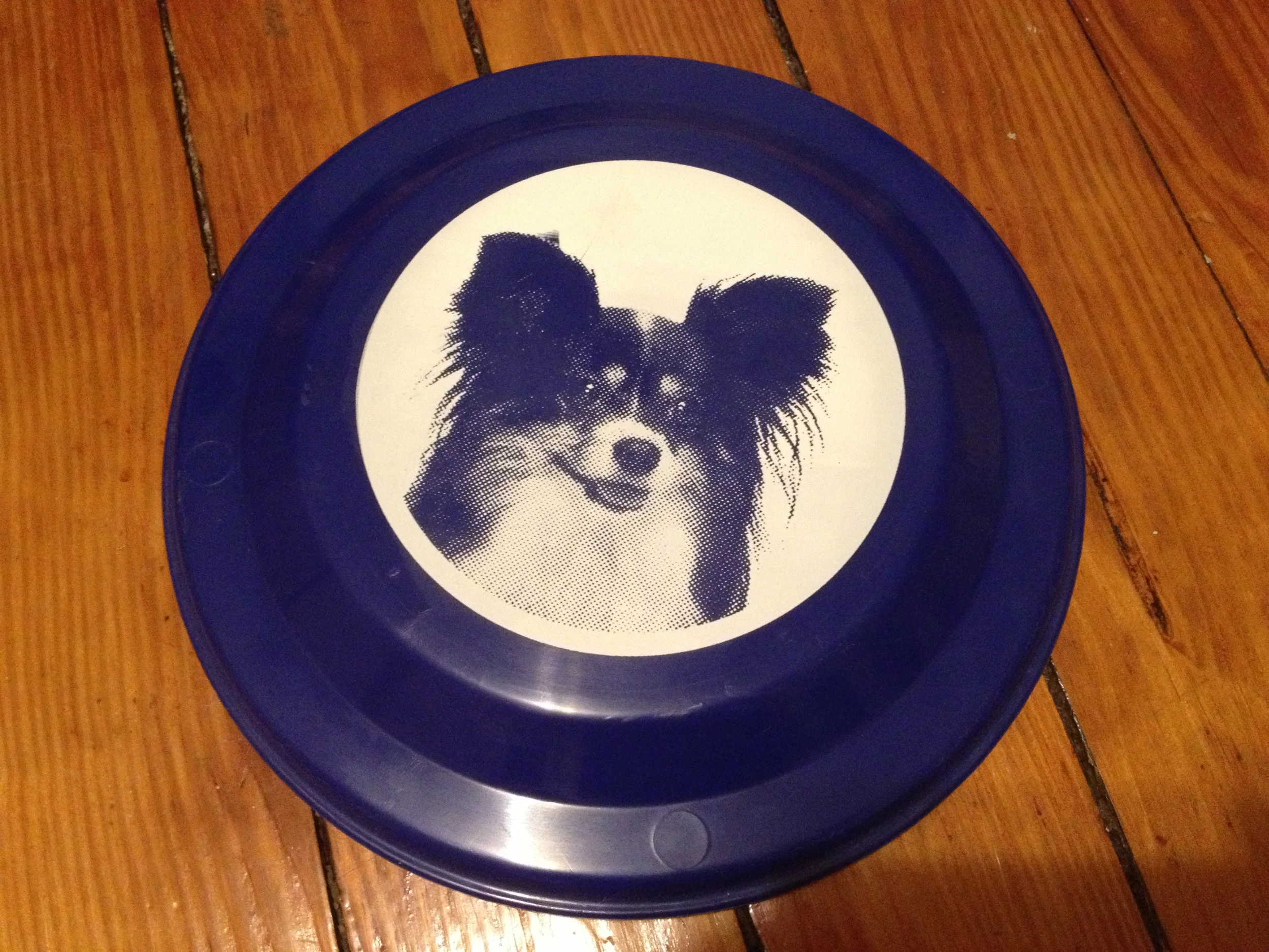 MEMORIAL FRISBEE