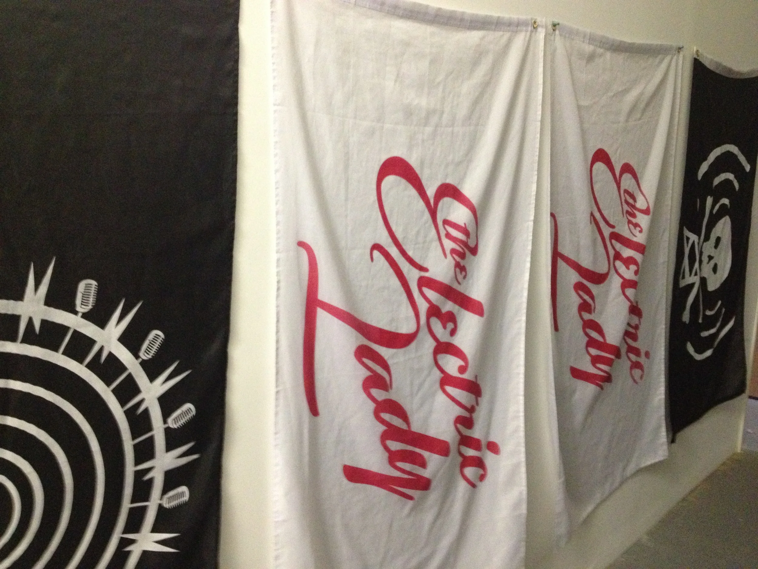 Flags for the Electric lady