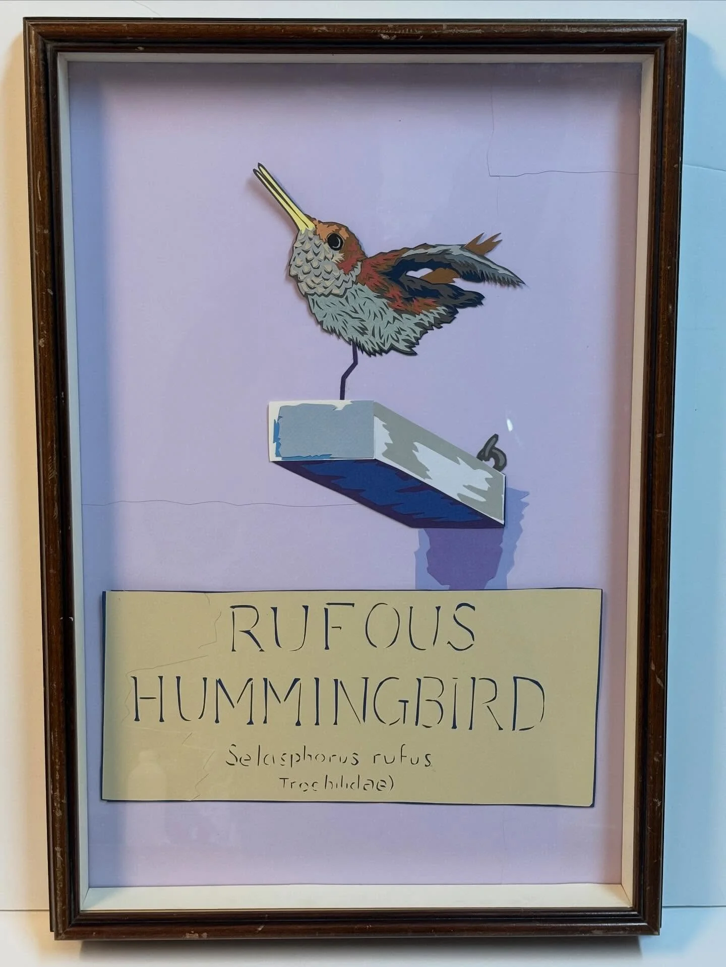 #SneakPreviewSunday new #cutpapercollage by #JosephOpshinskyFineArt -  Rufous Hummingbird, Everhart Museum Bird Gallery
&bull;
&bull;
&bull;
&bull; 
#JosephOpshinsky #inliquidartist #pennsylvania #uartsalumni #phillyarts #inliquid #SneakPreview #land